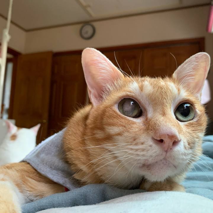 0607ac73 27d4 4f53 aaf0 de5a843e767a 1627854093837