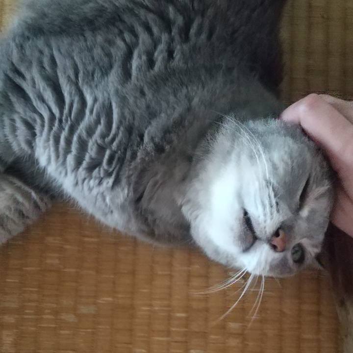 0607af94 5266 40ce ac70 b59deef4c767 1659921128106