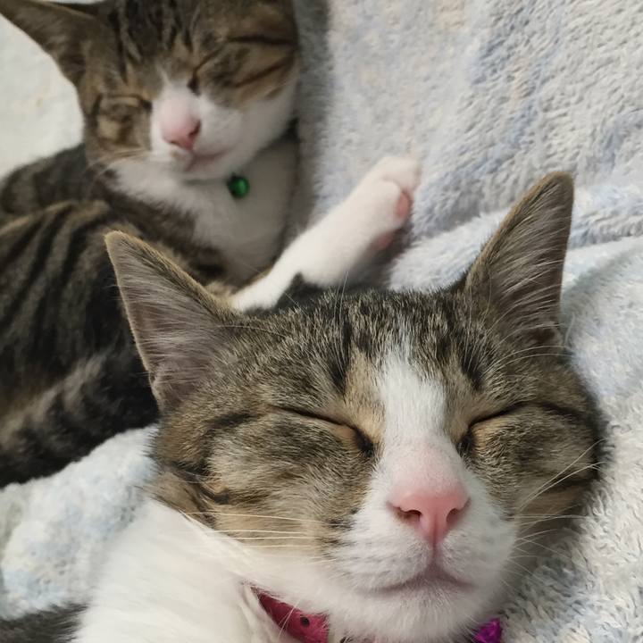 0607b37f de20 4f4b aa28 eba00b9a4848 1658851045927