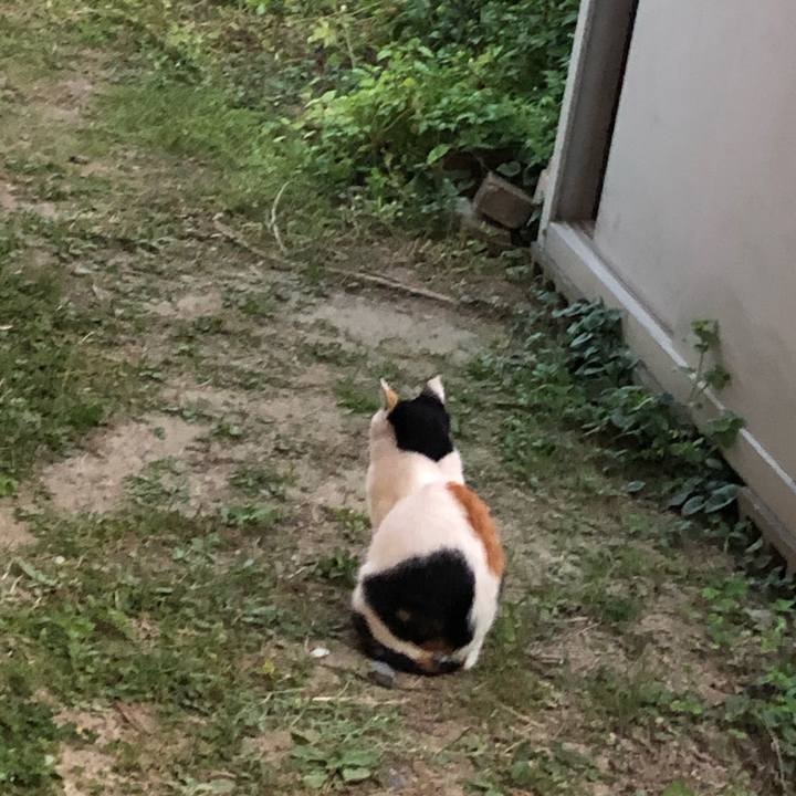 0607b73a 19b8 4d99 8917 cc621485b0d9 1602155534572