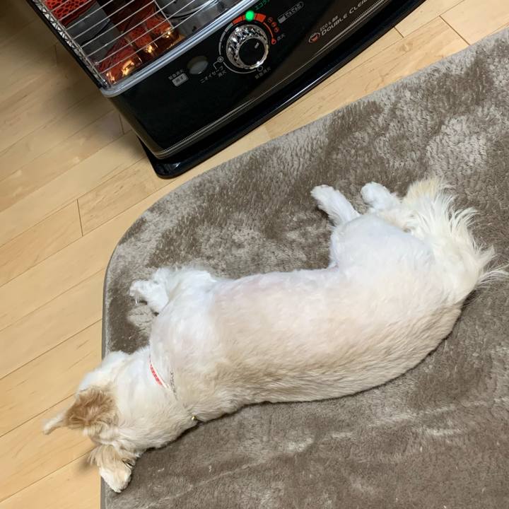 06080fba 6ad4 4501 be99 ed40daa7edef 1613459300533