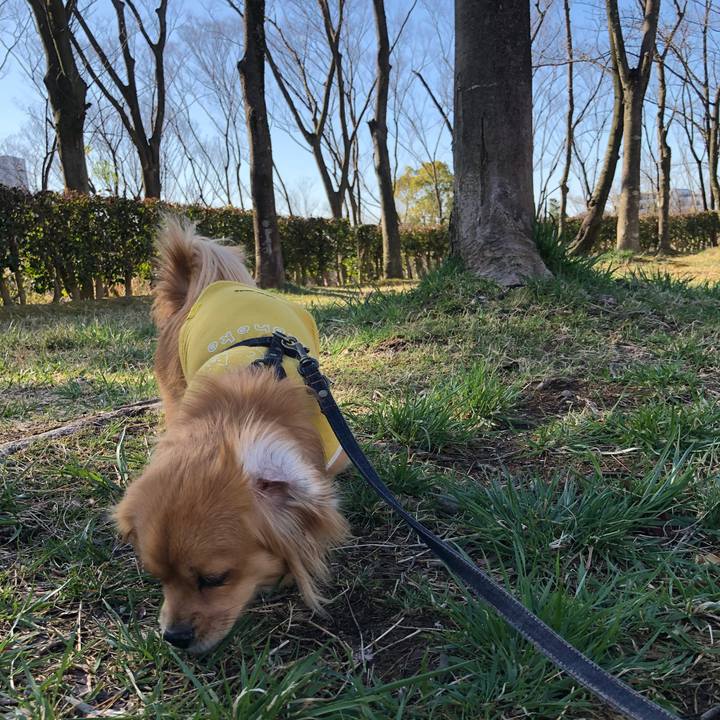 060833f4 aee7 4e07 8735 c2694617714e 1521245168917