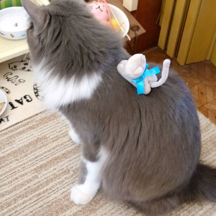 06084de3 dd37 445e 8252 ac5b67f798cf 1613022897675