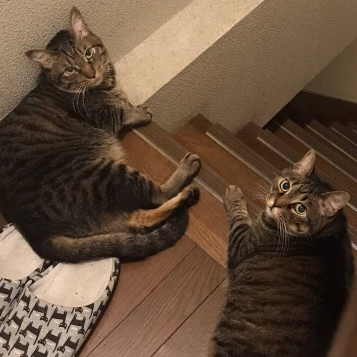 060857ad b569 4834 bb39 adba156750e8 1603724439082