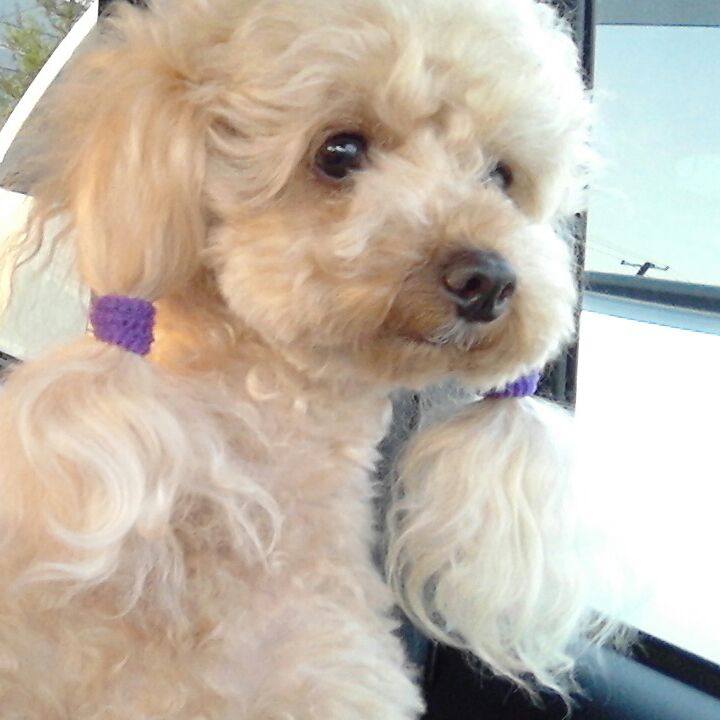 060887fd 90ac 4995 a3ac a3d0d6cc7af3 1531567604255