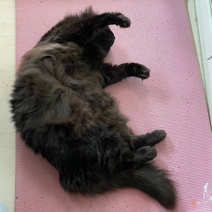 06088f21 e831 42d1 a240 3379f5de748f 1576820569778