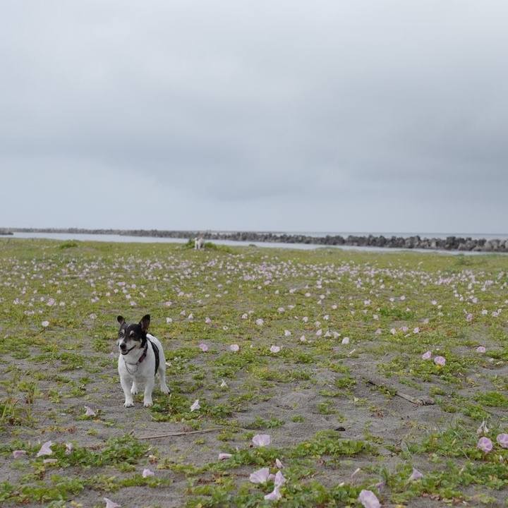 06089ecd b070 4c6f 83ca 2489b672ff3b 1559792623078