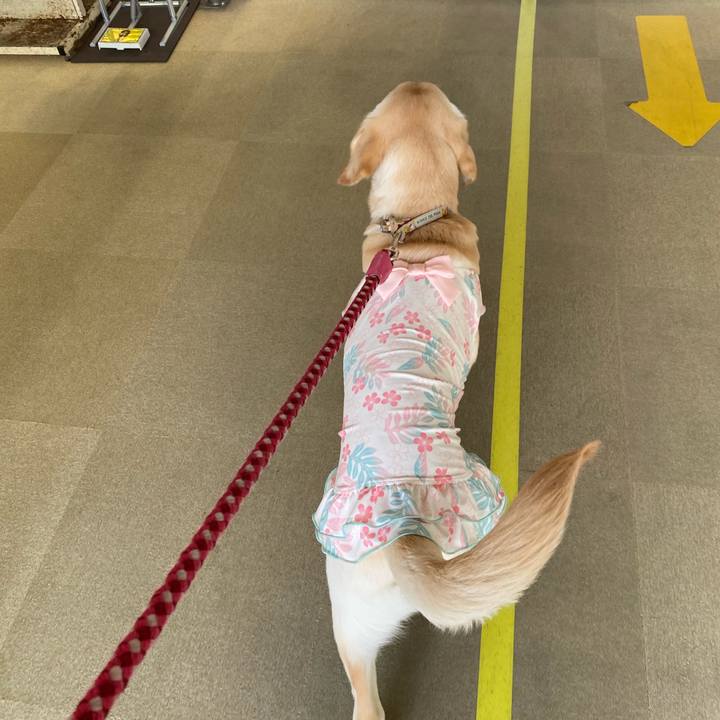 0608c309 ef4c 4fd7 9c5c 1ed17f1832fb 1619842927398