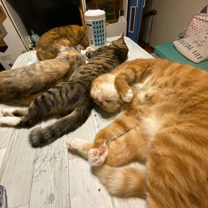 0608ce53 fcf0 4558 8729 13d8ffc353be 1606414416233