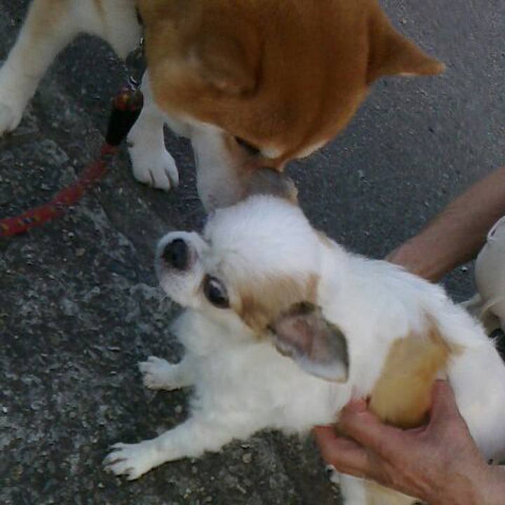 0608f281 0210 44ea 838c cca507870983 1535177549025