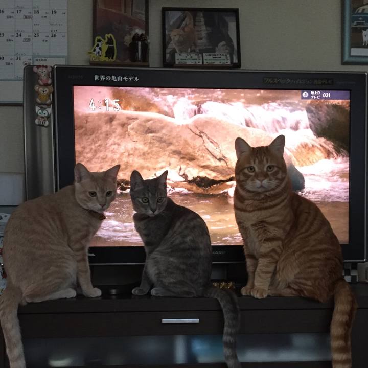 060949f2 9002 4d7a a547 491f45132c38 1548766327769