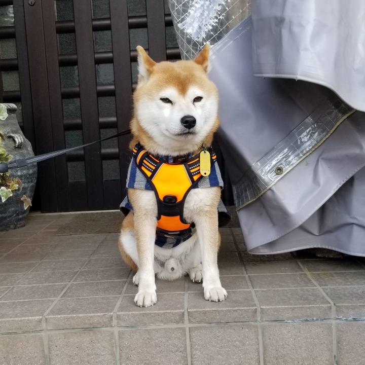 06095544 12e9 44ef 8f8d 70f096910e14 1582530763416