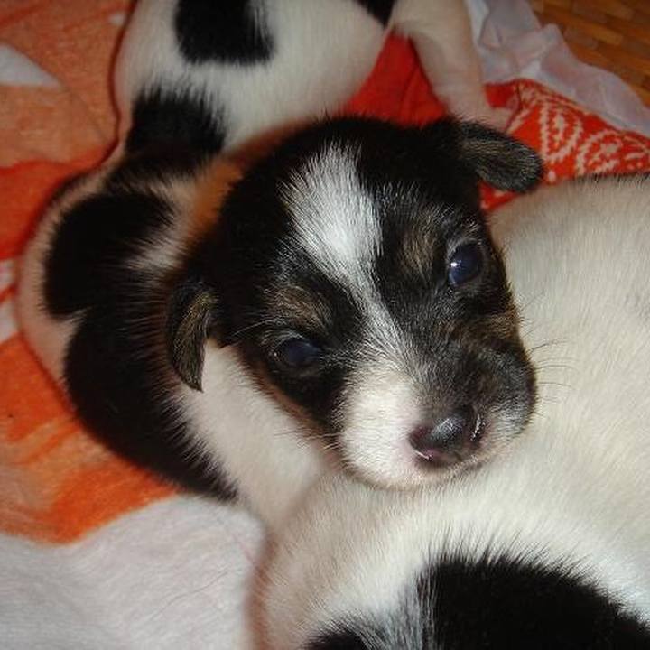 06097825 74c0 4637 be8a d726104899bf 1526419342631