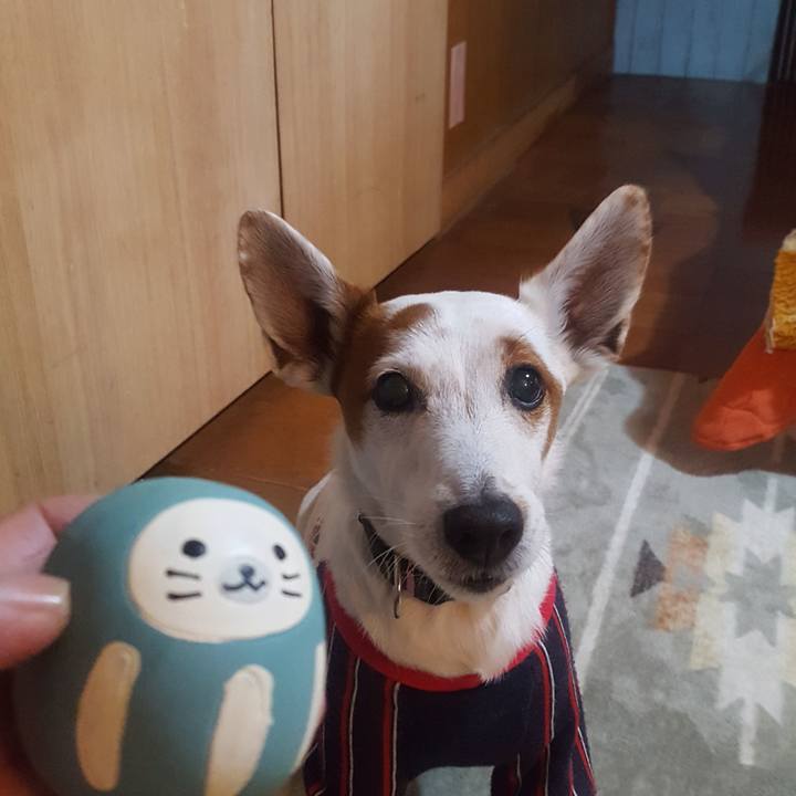 0609b7d4 4952 45e1 85a4 949b4477c2c4 1548890980953