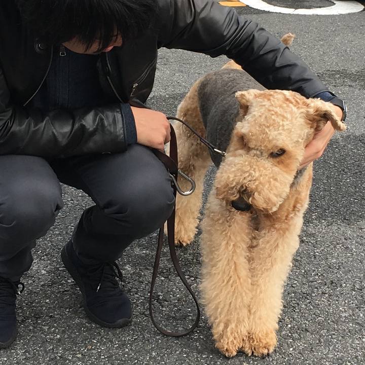 0609e0e1 d29a 421a bcf6 d9b22ab354c5 1542626464719