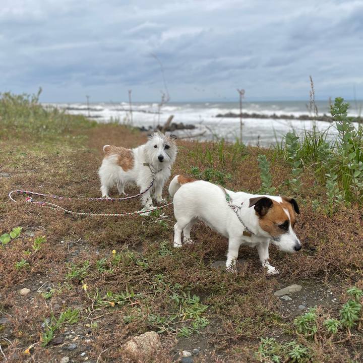 060a035e 7fc1 4daa 9ae6 f7cfd272ec10 1760831136902