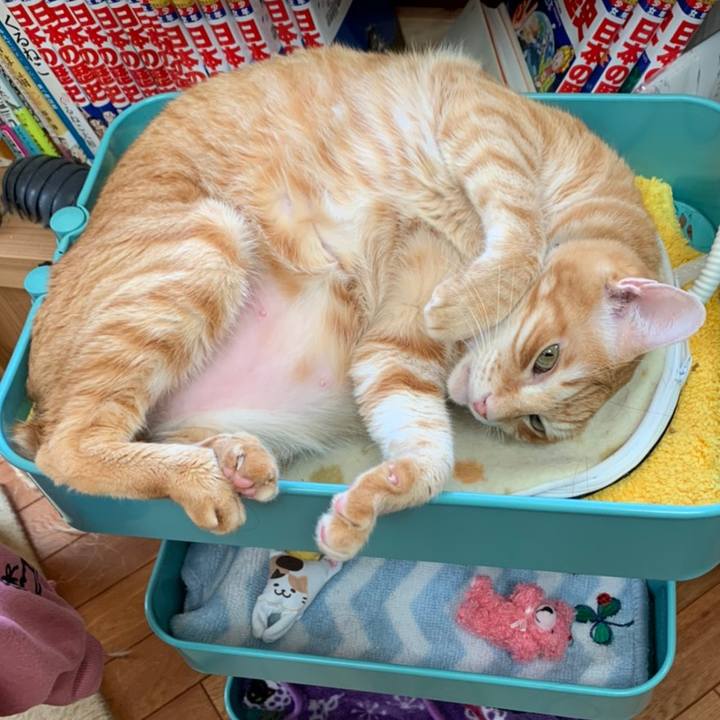 060a1811 ca9e 4f0a aef9 16f080749a96 1608288519817