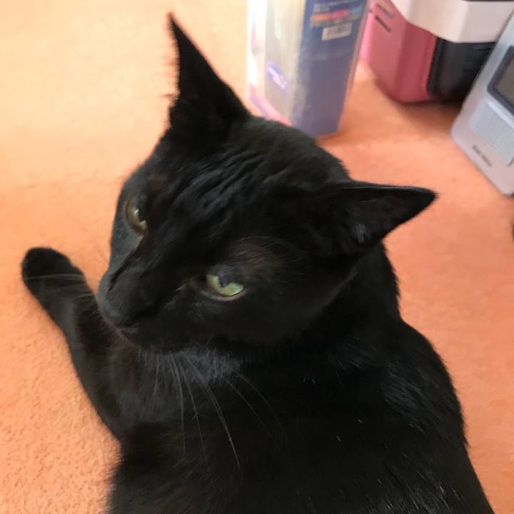 060a75c1 932a 409e b73f d662cbc10c61 1532480827091