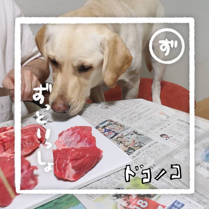 060aa8ae ee3e 4b5c 9b5f d2d8e53b5a5d 1686004613636