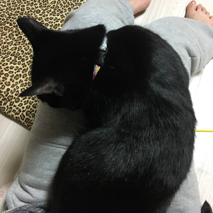 060ac7b0 64ea 4fcb 8150 e872c88962fd 1514469884750