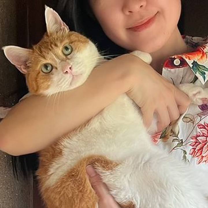 060ad740 0d9e 4509 816b 2e43a6c9ad60 1750327106356