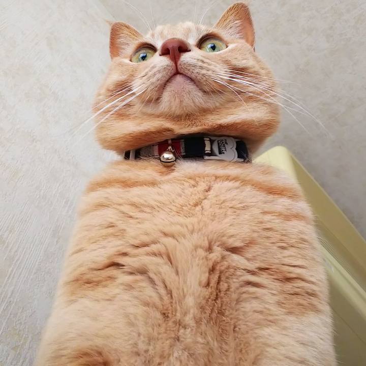 060aea17 00f5 42b4 b329 c621cab76beb 1604189336411