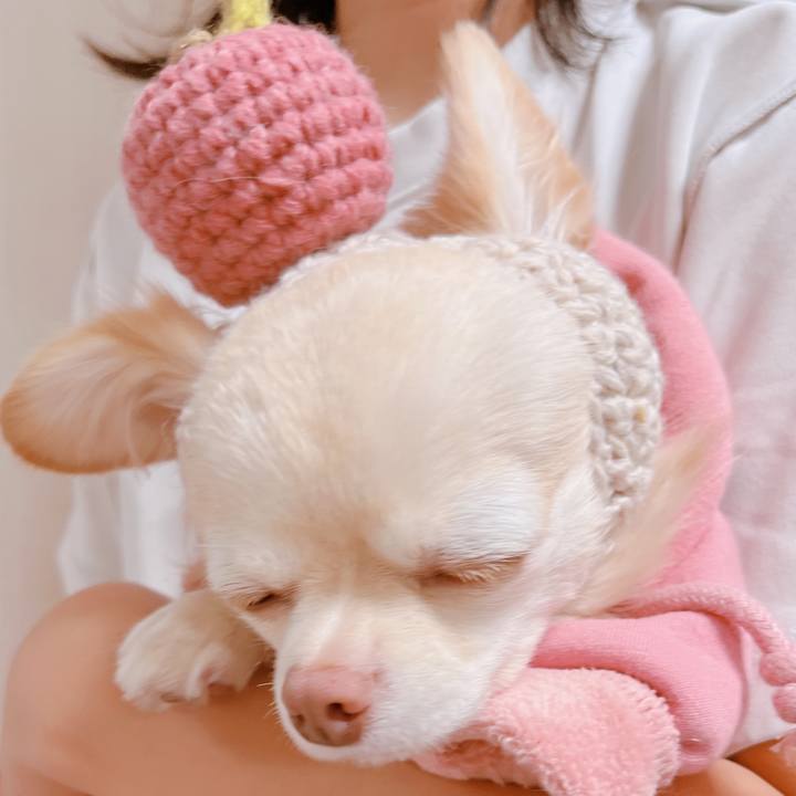 060b2cda d8f8 42d6 a82b 5af178b35a42 1669084620555