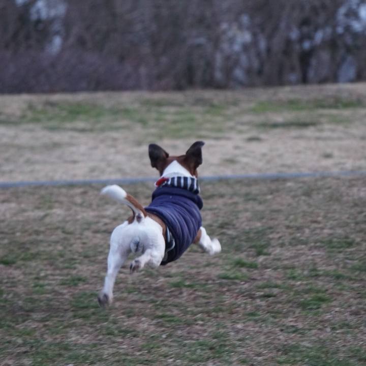 060b5483 2679 4231 998e a002a89d2c59 1581895514076