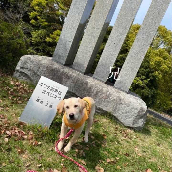 060b7f74 5a7a 4b76 b503 b556b921da7c 1617351697382