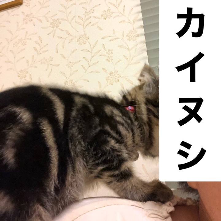 060b9423 1eed 4483 8f94 c79c3cf80b7f 1724929864425