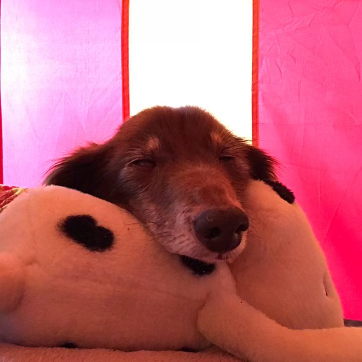 060ba6b2 34d6 4152 9b9e 9479e7087883 1522817732527