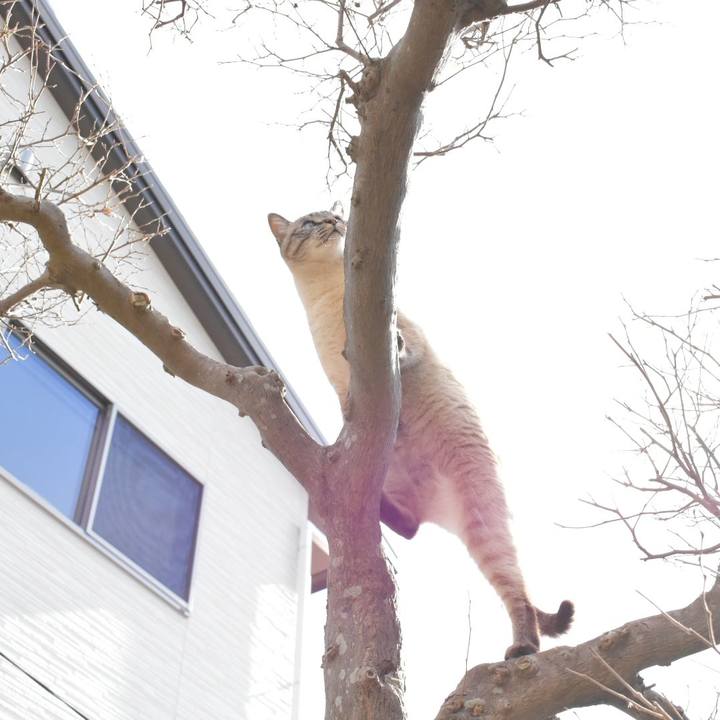 060bb857 f667 44bc baf6 bacd90cb271c 1514856981200