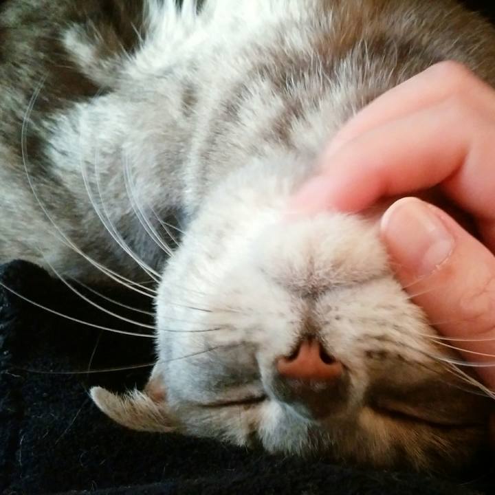 060bd024 5e50 4840 839f ce2d27e06f9b 1575499516415