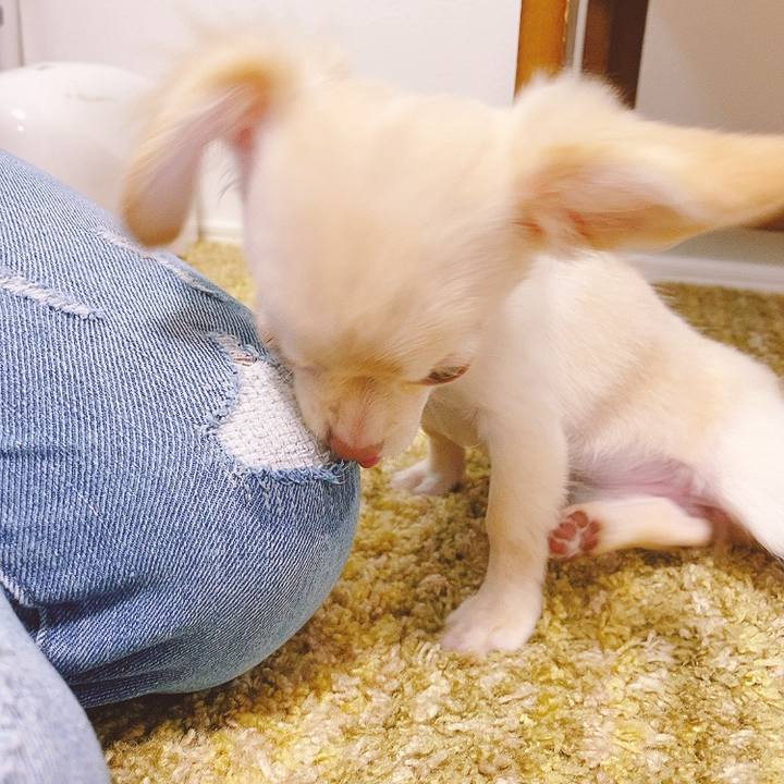 060bffc2 937f 42fc 819e a1f241c75389 1591065009854