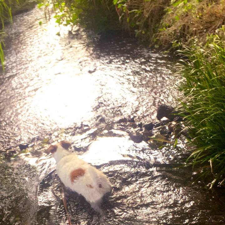 060c36f0 b934 4812 a900 ef45a175c51d 1564879484528