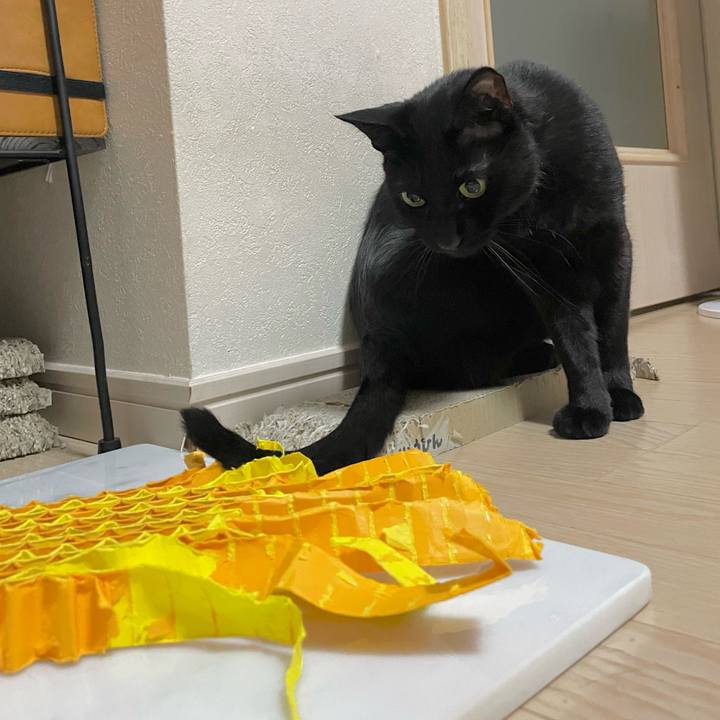 060c65b2 4106 4c4a 80b8 40f56192c05c 1689071462647