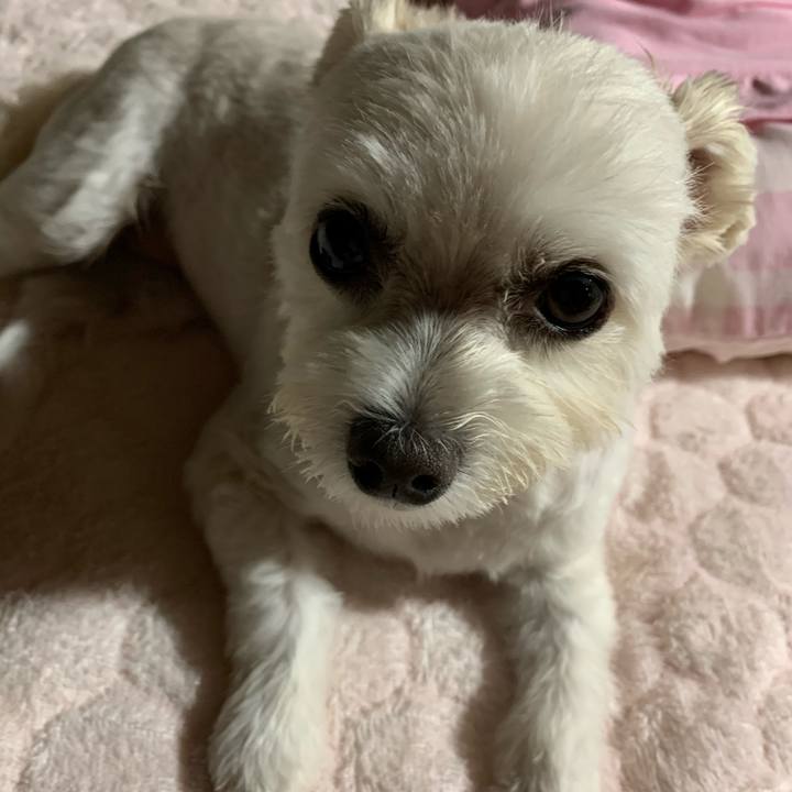 060cacbe 2835 4eeb 9f8b 62f92b38624e 1601462643986