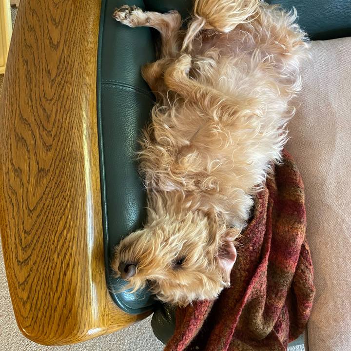 060cce26 5705 4fee a7c2 826a43d259bc 1632620619247