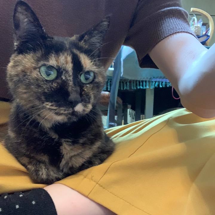 060cdc8d 9ee7 4285 ab6a 8a3c39569f36 1633267572444