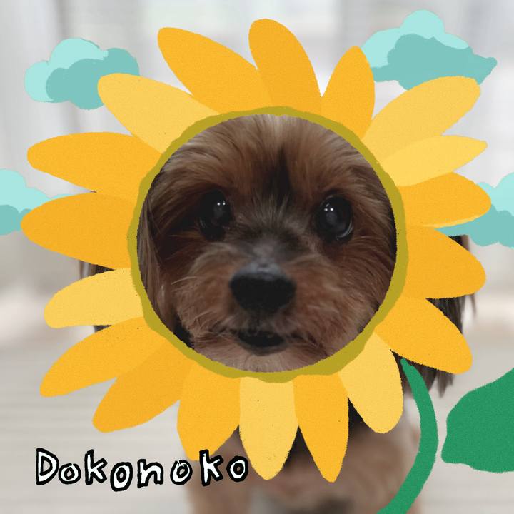 060d2429 2171 4105 bdfd 19436d30d806 1723185336979