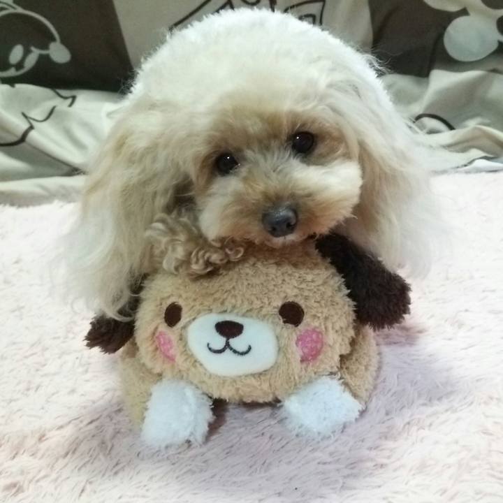 060d2684 5591 4e72 aced ebd224ca5fee 1545998391917