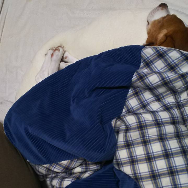 060d6509 477d 4dd3 8199 3335bdf49fa2 1632403888898