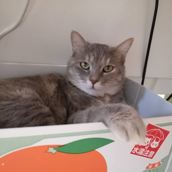 060d6fb8 0b0a 4750 94ca 3b09116edb62 1594094363956