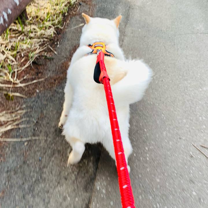 060d9a6a 6b95 44bc a319 e2f78fb84438 1649453781015