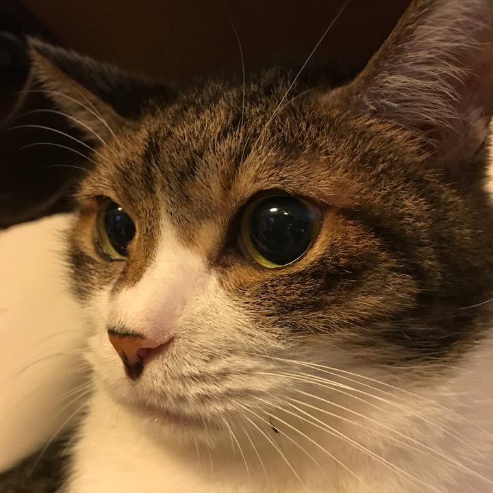 060ddeb9 d0f3 4d67 8ad3 11c7a4286b24 1536473146677