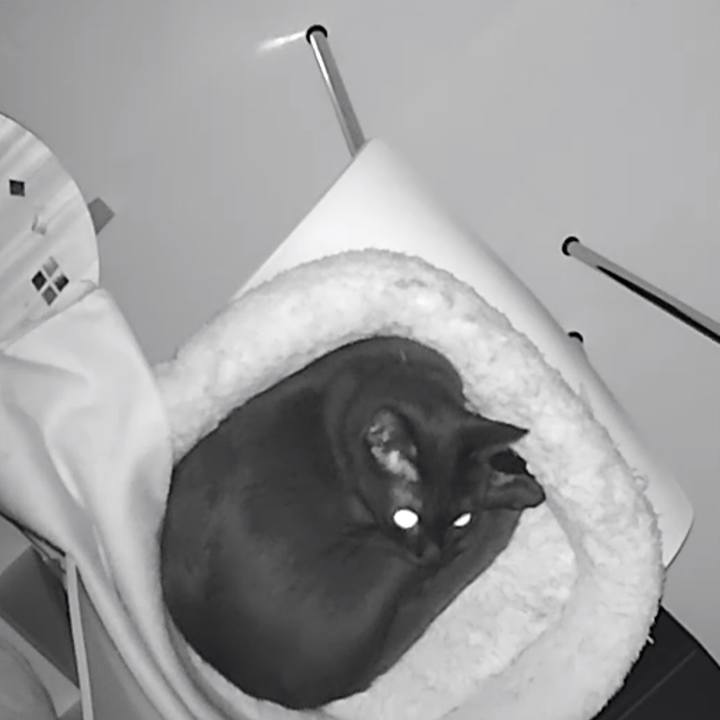 060de052 ac13 45e6 9414 61f1da6412be 1522492955536