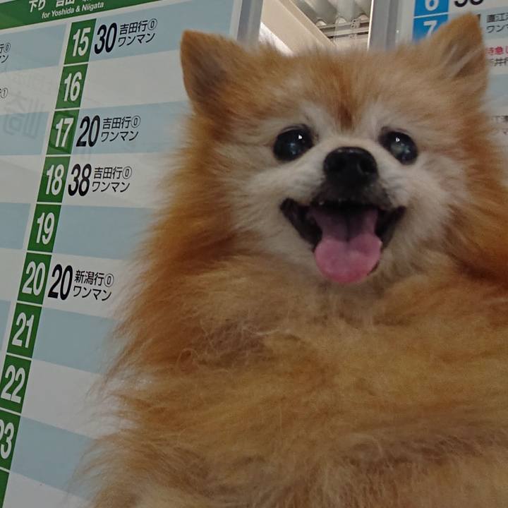 060dff5e 6fee 48be a9ce f4b87a80e657 1663560036473