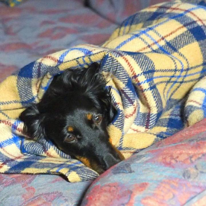 060e1686 58b8 4347 9da3 20189b9ec4a0 1508466773044