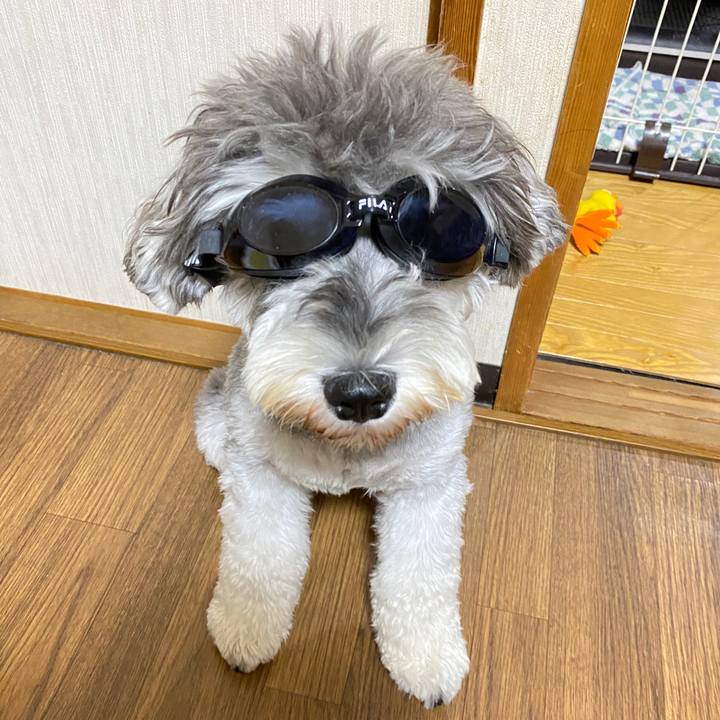 060e65e4 6c23 4321 9e53 408073b368bc 1594570215274