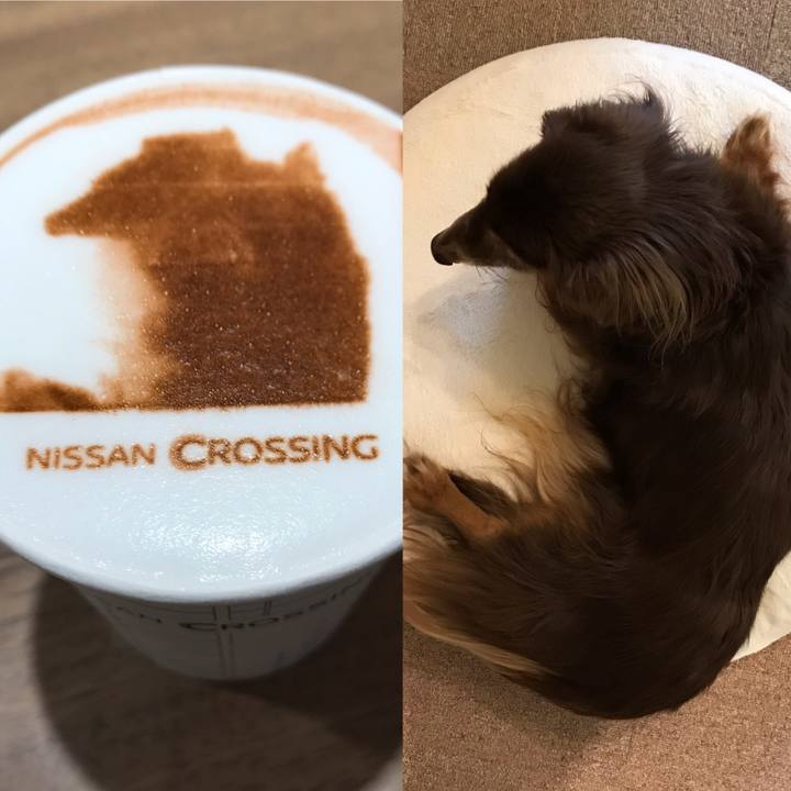 060e6ece 15c3 4265 9f6c d85c6755d871 1555752392220